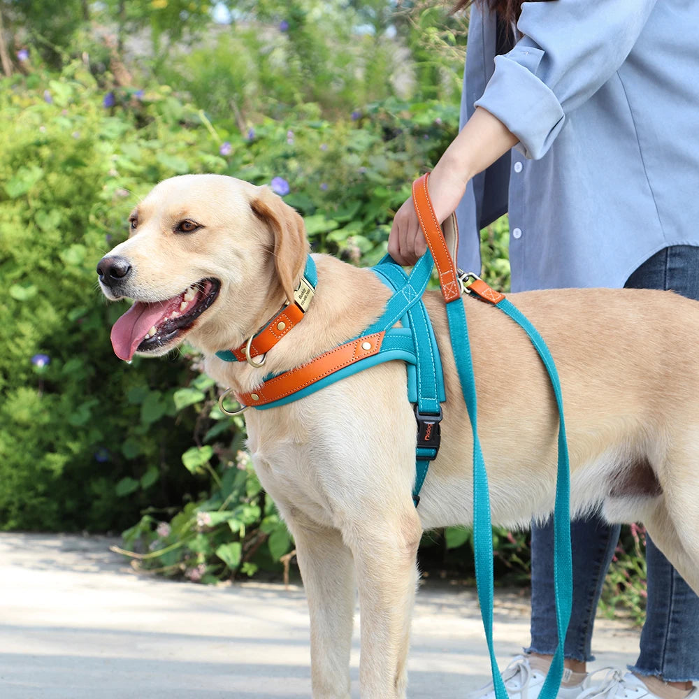 Nylon Dog Collar Harness Leash Set