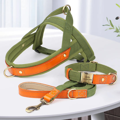 Nylon Dog Collar Harness Leash Set