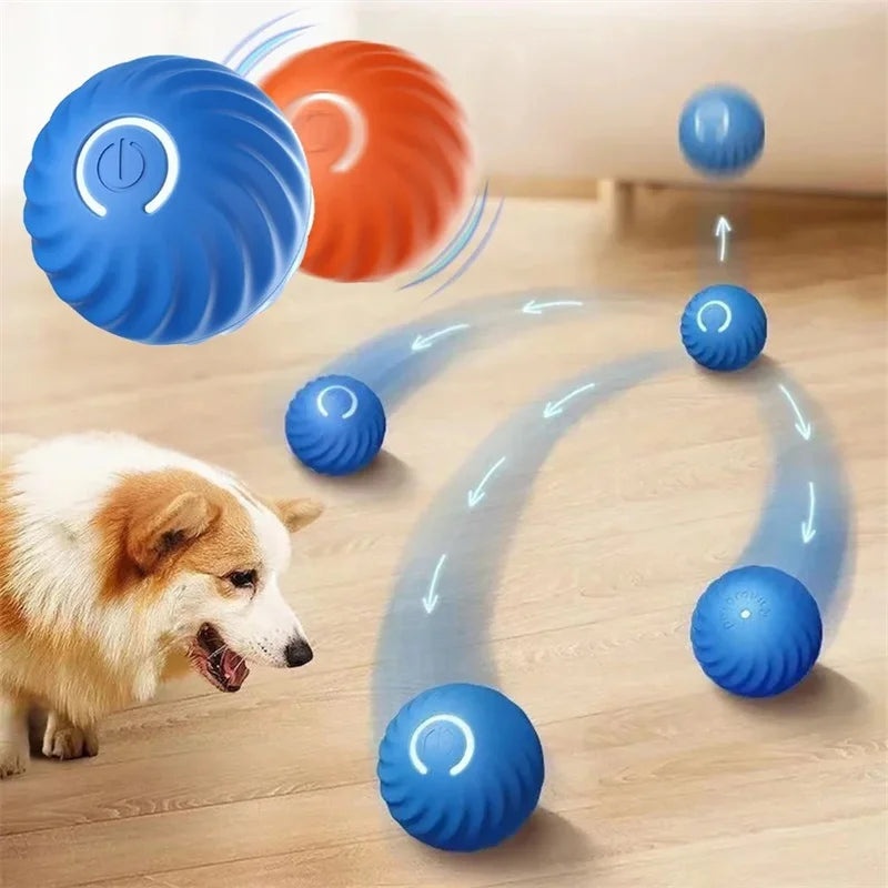 Smart Dog Auto-Bouncy Ball