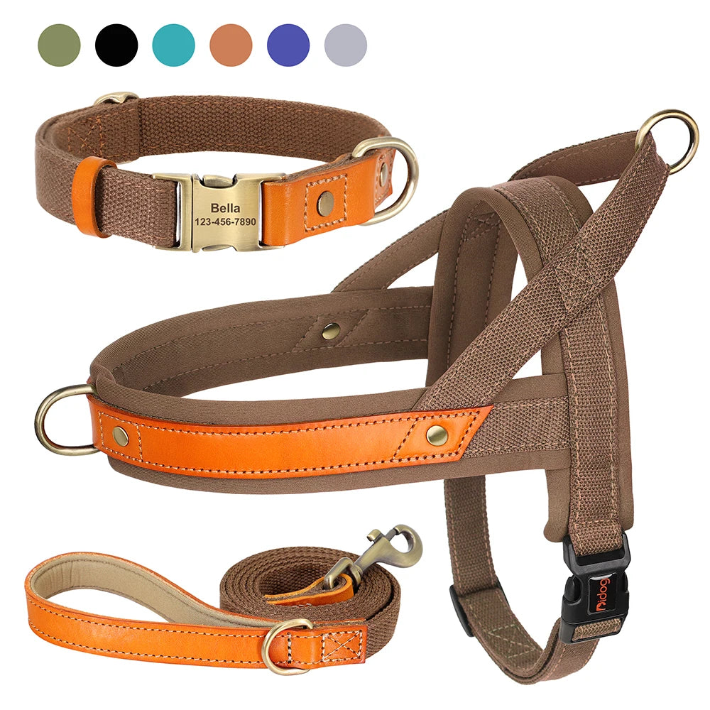 Nylon Dog Collar Harness Leash Set