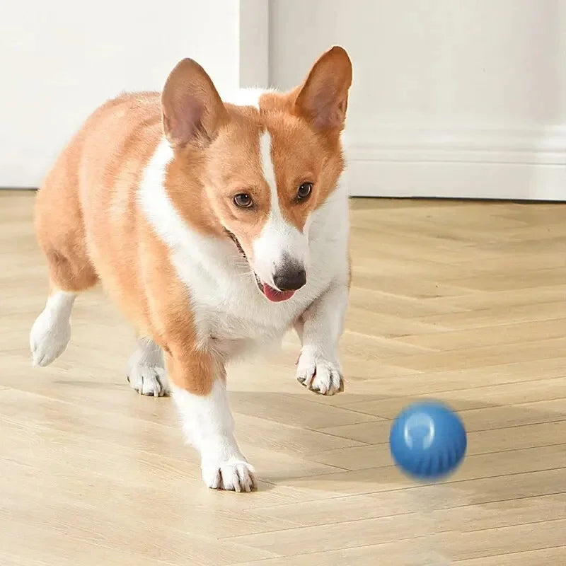 Smart Dog Auto-Bouncy Ball