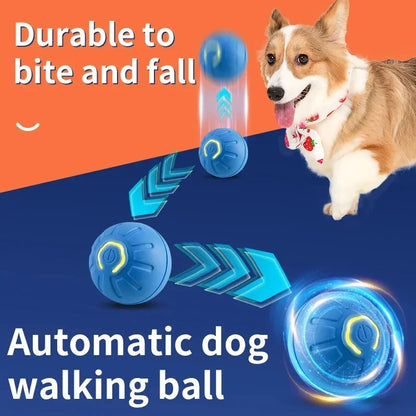 Smart Dog Auto-Bouncy Ball