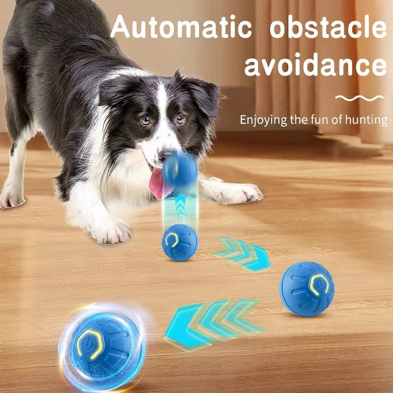 Smart Dog Auto-Bouncy Ball