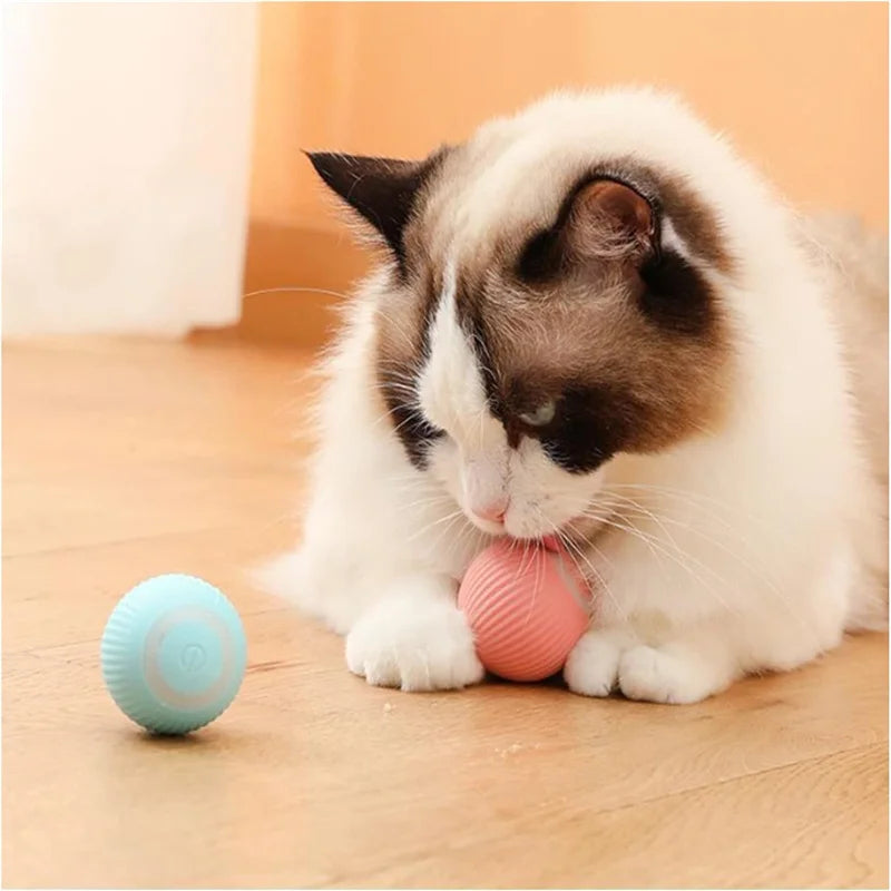 Smart Dog Auto-Bouncy Ball