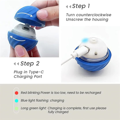 Smart Dog Auto-Bouncy Ball