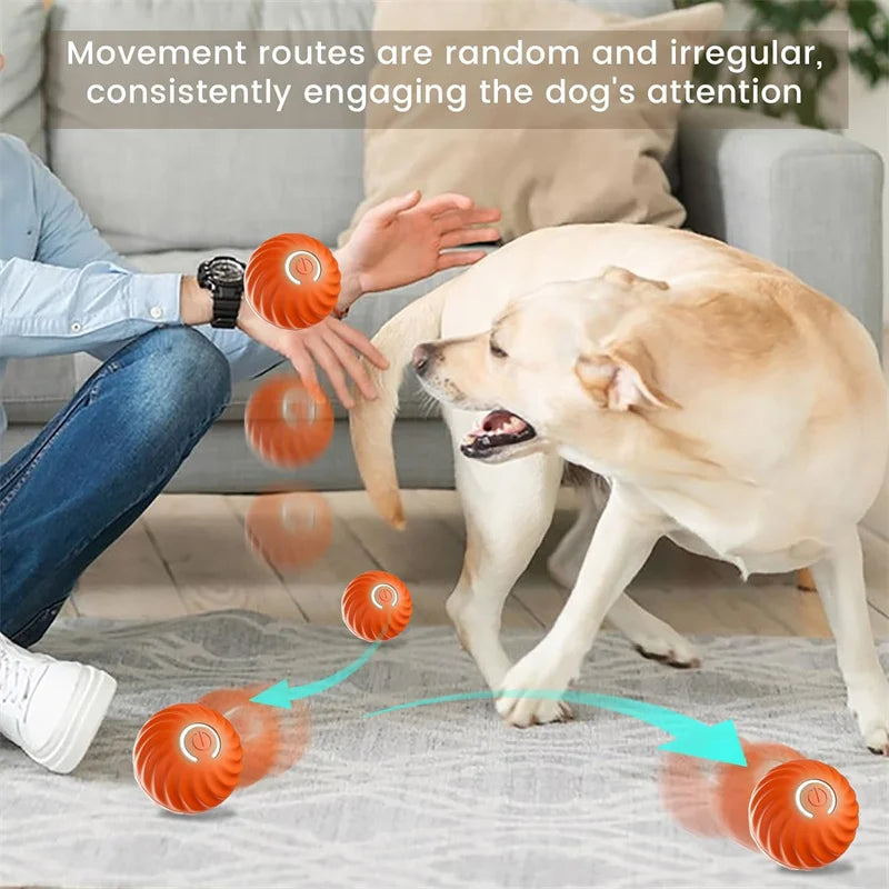 Smart Dog Auto-Bouncy Ball